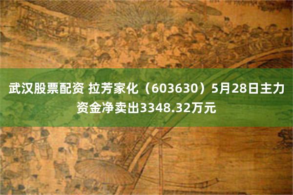 武汉股票配资 拉芳家化（603630）5月28日主力资金净卖出3348.32万元