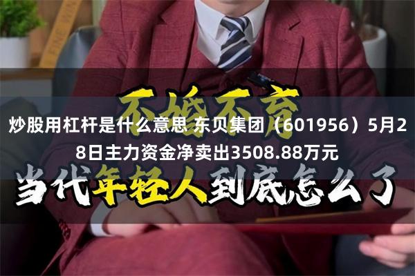 炒股用杠杆是什么意思 东贝集团（601956）5月28日主力资金净卖出3508.88万元