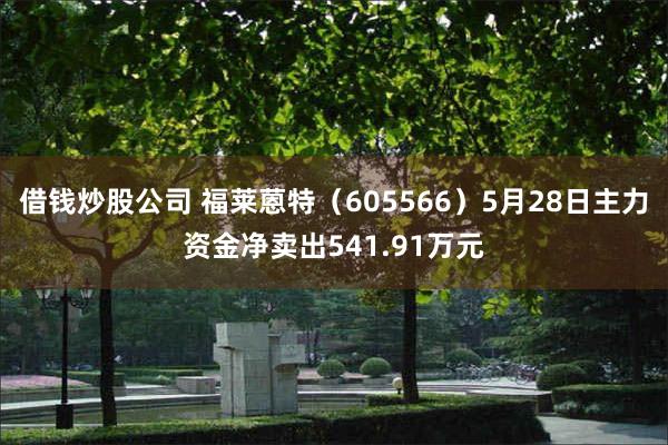 借钱炒股公司 福莱蒽特（605566）5月28日主力资金净卖出541.91万元