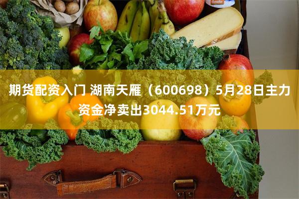期货配资入门 湖南天雁（600698）5月28日主力资金净卖出3044.51万元
