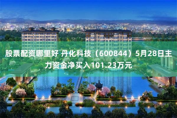 股票配资哪里好 丹化科技（600844）5月28日主力资金净买入101.23万元