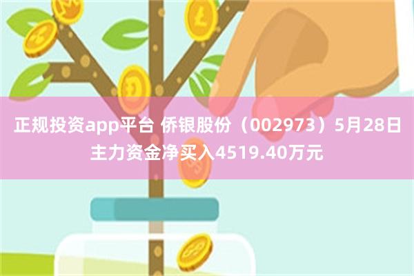 正规投资app平台 侨银股份（002973）5月28日主力资金净买入4519.40万元
