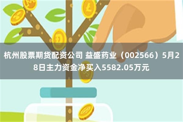 杭州股票期货配资公司 益盛药业（002566）5月28日主力资金净买入5582.05万元