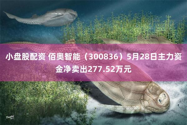 小盘股配资 佰奥智能（300836）5月28日主力资金净卖出277.52万元