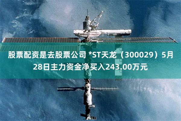 股票配资是去股票公司 *ST天龙（300029）5月28日主力资金净买入243.00万元