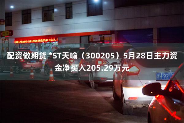 配资做期货 *ST天喻（300205）5月28日主力资金净买入205.29万元