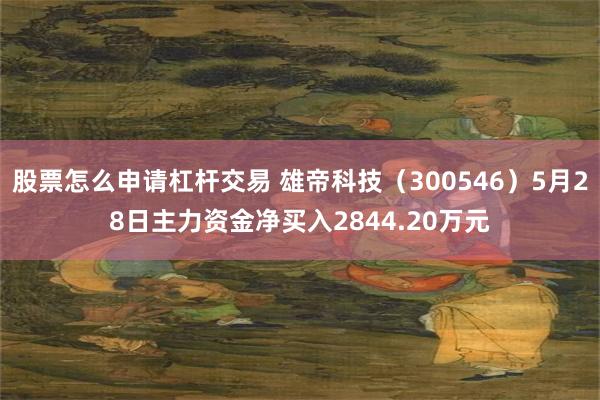 股票怎么申请杠杆交易 雄帝科技（300546）5月28日主力资金净买入2844.20万元