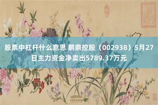 股票中杠杆什么意思 鹏鼎控股（002938）5月27日主力资金净卖出5789.37万元