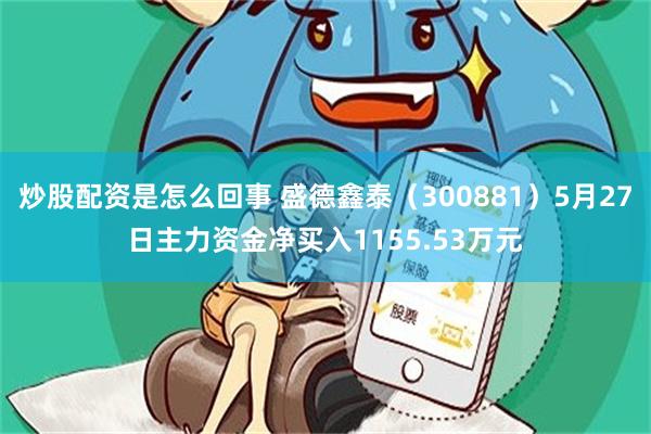 炒股配资是怎么回事 盛德鑫泰（300881）5月27日主力资金净买入1155.53万元
