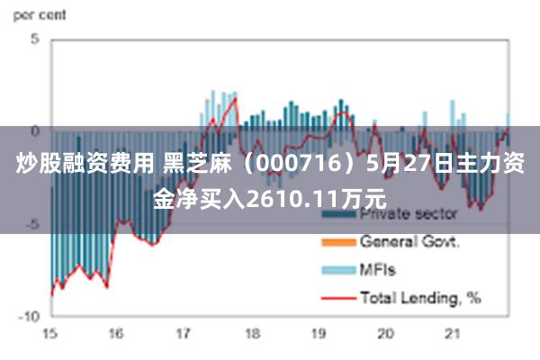 炒股融资费用 黑芝麻（000716）5月27日主力资金净买入2610.11万元