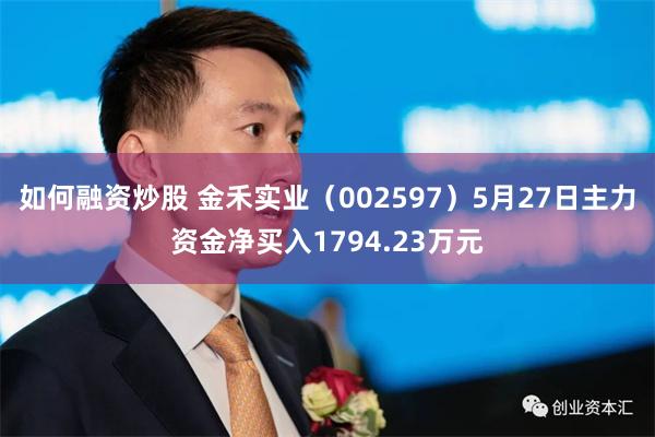 如何融资炒股 金禾实业（002597）5月27日主力资金净买入1794.23万元