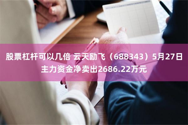 股票杠杆可以几倍 云天励飞（688343）5月27日主力资金净卖出2686.22万元