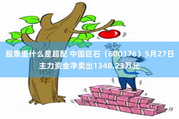 股票里什么是超配 中国巨石（600176）5月27日主力资金净卖出1348.23万元