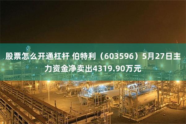股票怎么开通杠杆 伯特利（603596）5月27日主力资金净卖出4319.90万元