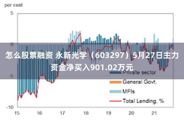 怎么股票融资 永新光学（603297）5月27日主力资金净买入901.02万元