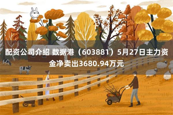 配资公司介绍 数据港（603881）5月27日主力资金净卖出3680.94万元