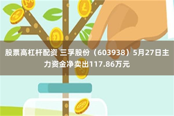 股票高杠杆配资 三孚股份（603938）5月27日主力资金净卖出117.86万元