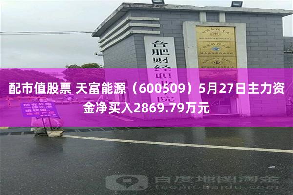 配市值股票 天富能源（600509）5月27日主力资金净买入2869.79万元