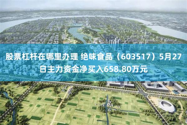 股票杠杆在哪里办理 绝味食品（603517）5月27日主力资金净买入658.80万元