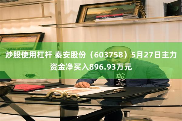 炒股使用杠杆 秦安股份（603758）5月27日主力资金净买入896.93万元