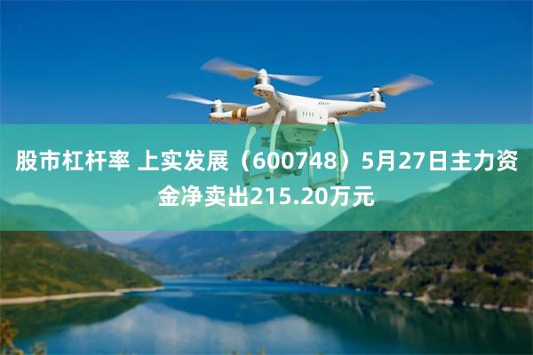股市杠杆率 上实发展（600748）5月27日主力资金净卖出215.20万元