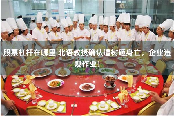 股票杠杆在哪里 北语教授确认遭树砸身亡，企业违规作业！