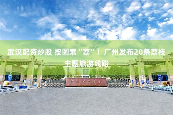 武汉配资炒股 按图索“荔”！广州发布20条荔枝主题旅游线路