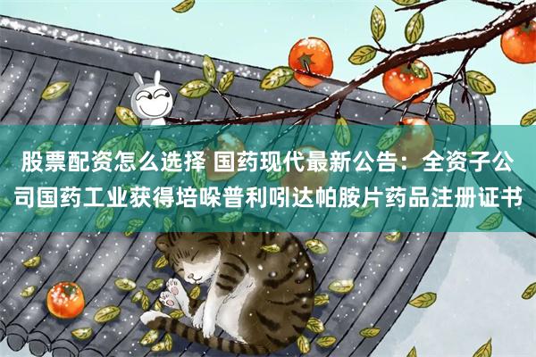 股票配资怎么选择 国药现代最新公告：全资子公司国药工业获得培哚普利吲达帕胺片药品注册证书