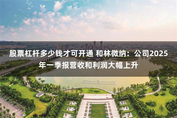 股票杠杆多少钱才可开通 和林微纳：公司2025年一季报营收和利润大幅上升