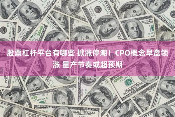 股票杠杆平台有哪些 掀涨停潮!CPO概念早盘领涨 量产节奏或超预期