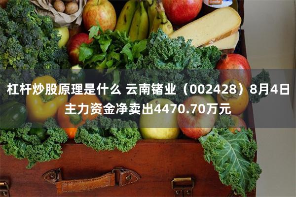 杠杆炒股原理是什么 云南锗业（002428）8月4日主力资金净卖出4470.70万元