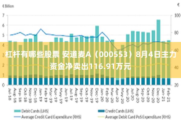 杠杆有哪些股票 安道麦A(000553)8月4日主力资金净卖出116.91万元