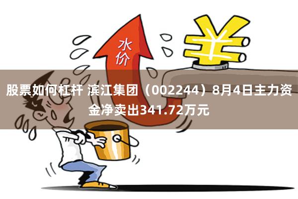 股票如何杠杆 滨江集团（002244）8月4日主力资金净卖出341.72万元